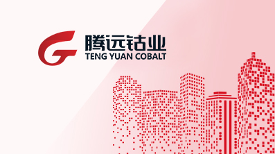 2025年11月环保公示